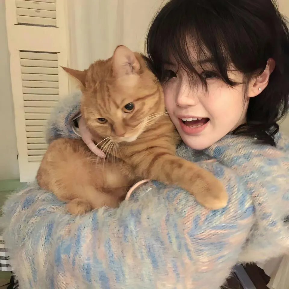 美女与猎犬
